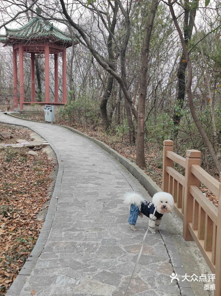 尧化门太平山公园图片