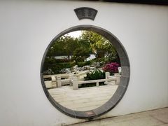 -上海滨江森林公园