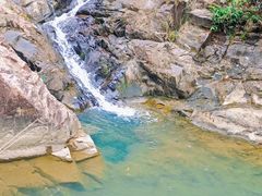 -广州白江湖森林公园