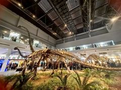-自贡恐龙博物馆