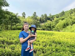 -千户高端家政育儿嫂·保姆·儿童陪伴师