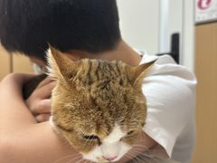 -瑞派康怡24h宠物医院·犬猫医疗中心·微创绝育(瑞景分院)