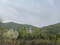 -蒙山大佛景区