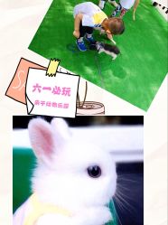 -萌宠亲子动物乐园(槐房万达店)