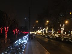 -真爱中国餐馆·年华店(朱雀大街店)