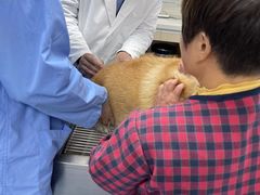 -宠颐生动物医院·小陆分院