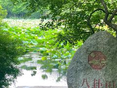 -八卦田遗址公园