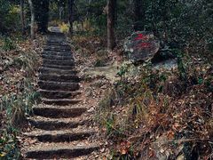 -青龙山国家森林公园