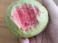 -单家老院·院子里的青岛菜(沙子口店)