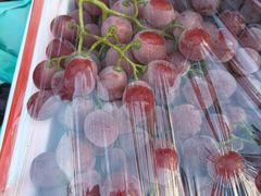 -岳各庄批发市场(西四环中路店)