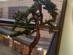 -马家斑.鲜鱼火锅(松湖万科店)