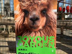 -禧宴Joyous Restaurant(禧园店)