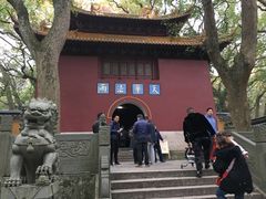 -普陀山风景名胜区-法雨禅寺