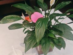 -红菜坊·烤鸭·川鲁宴(石园店)