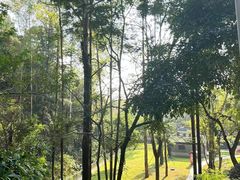 -火炉山森林公园