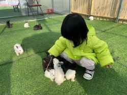 -萌宠亲子动物乐园(槐房万达店)