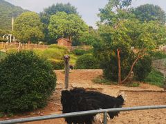-无锡动物园·太湖欢乐园