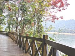 -广州市流溪河国家森林公园