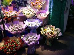 -花鸟鱼虫鲜花绿植市场(玉泉路店)