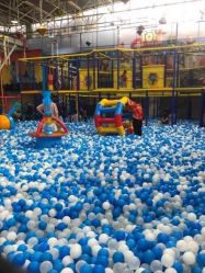 -爱丽丝奇幻乐园