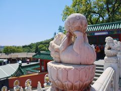 -八大处公园