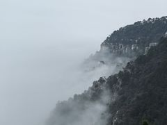 -庐山风景区花径公园