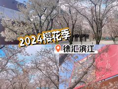 -龙美术馆(西岸馆)