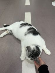-CICI街舞专业培训