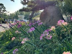 -罗红摄影艺术馆