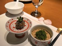 -觀芷隐轩