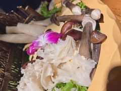 -老牌坊云南鱼豆花火锅(爱建店)