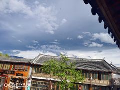 -木王宴语·野生鲜菌火锅(玉河店)
