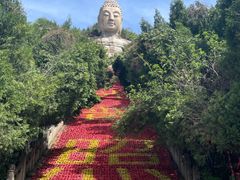-蒙山大佛景区