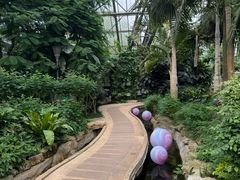 -南山植物园