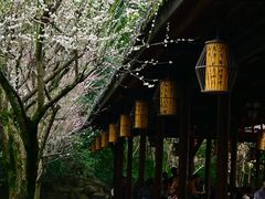 -成都杜甫草堂博物馆