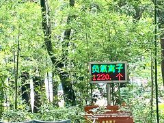 -同里国家湿地公园
