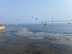 -星海广场