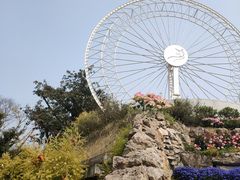 -三圣花乡旅游区