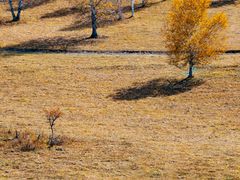-塞罕坝国家级自然保护区