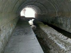 -白水寺森林公园