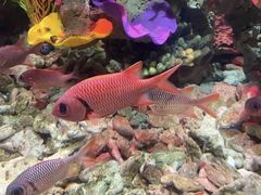 -太平洋海底世界