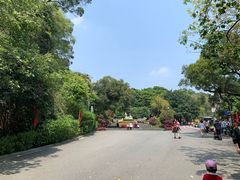 -金鸡山公园