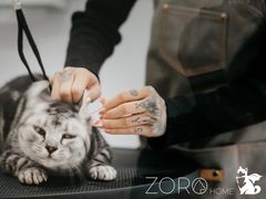 -佐罗家宠物馆·猫文化馆(紫霞路店)