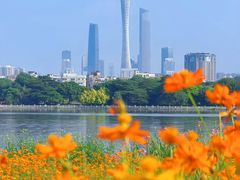-海珠湖公园
