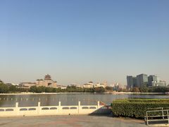 -莲花池公园