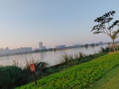 -合肥滨湖国家森林公园