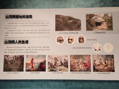 -四川大学博物馆