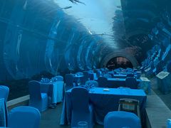 -海棠湾洲际-涛·海底餐厅·美人鱼·自助餐·海底隧道