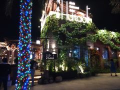 -三亚海昌梦幻海洋不夜城