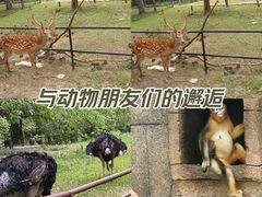 -南昌动物园